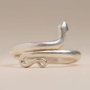Consecrated Silver Ring